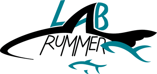 Rummer Lab logo